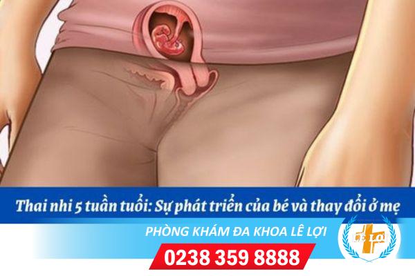 Những dấu hiệu mang thai 5 tuần và phương pháp hỗ trợ bỏ thai ngoài ý muốn